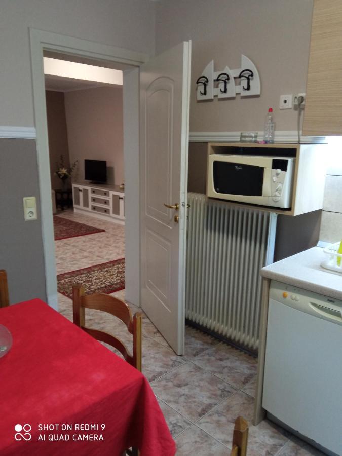 Apartment To Nature A Amos