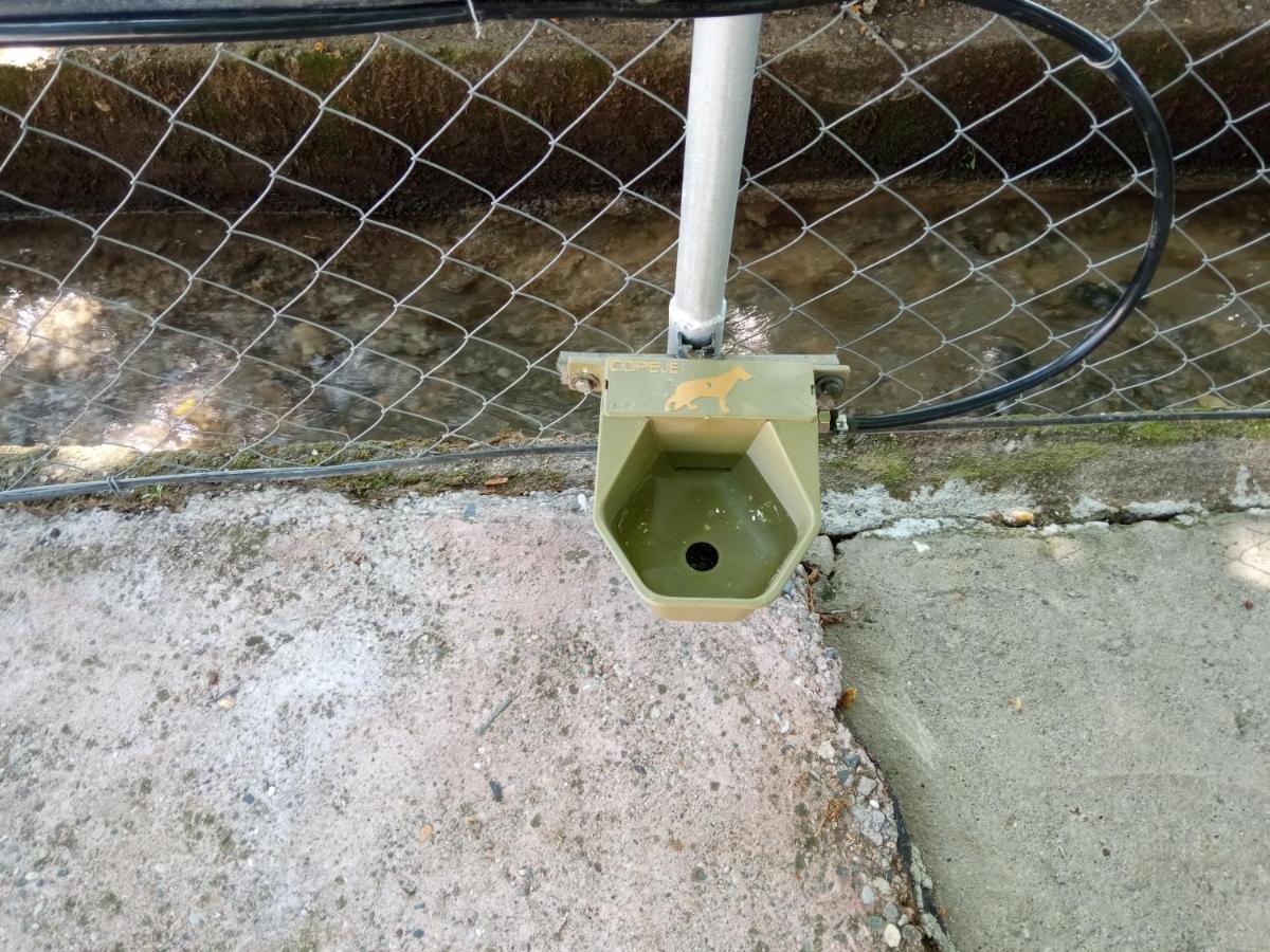 To Nature A *